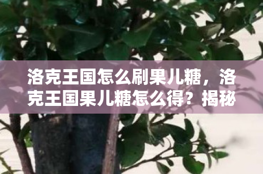 洛克王国怎么刷果儿糖,洛克王国果儿糖怎么得?揭秘获取果儿糖的多种途径 洛克王国怎么刷果儿糖,洛克王国果儿糖怎么得?揭秘获取果儿糖的多种途径