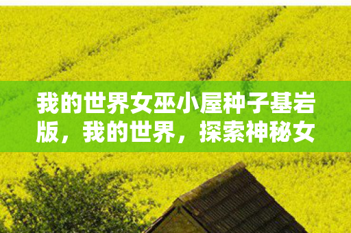 我的世界女巫小屋种子基岩版,我的世界,探索神秘女巫小屋种子 我的世界女巫小屋种子基岩版,我的世界,探索神秘女巫小屋种子