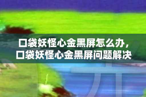 口袋妖怪心金黑屏怎么办,口袋妖怪心金黑屏问题解决方案 口袋妖怪心金黑屏怎么办,口袋妖怪心金黑屏问题解决方案