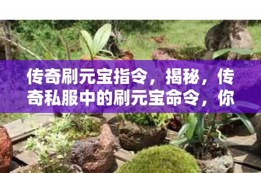 传奇刷元宝指令,揭秘,传奇私服中的刷元宝命令,你真的了解吗? 传奇刷元宝指令,揭秘,传奇私服中的刷元宝命令,你真的了解吗?