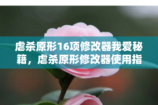 虐杀原形16项修改器我爱秘籍，虐杀原形修改器使用指南，打造你的游戏新体验