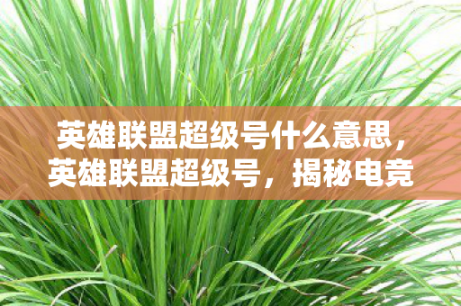英雄联盟超级号什么意思,英雄联盟超级号,揭秘电竞界的神秘存在 英雄联盟超级号什么意思,英雄联盟超级号,揭秘电竞界的神秘存在