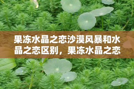 果冻水晶之恋沙漠风暴和水晶之恋区别,果冻水晶之恋,一场视觉与味觉的浪漫盛宴 果冻水晶之恋沙漠风暴和水晶之恋区别,果冻水晶之恋,一场视觉与味觉的浪漫盛宴