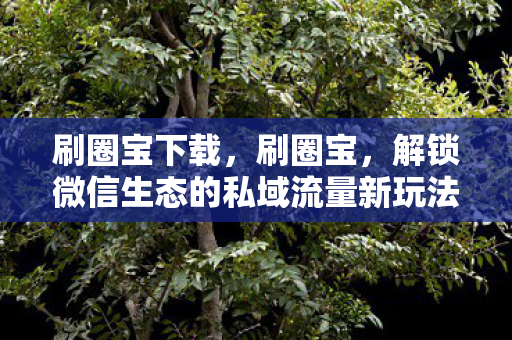 刷圈宝下载,刷圈宝,解锁微信生态的私域流量新玩法 刷圈宝下载,刷圈宝,解锁微信生态的私域流量新玩法