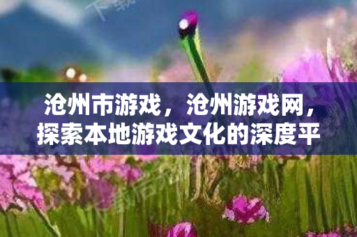 沧州市游戏,沧州游戏网,探索本地游戏文化的深度平台 沧州市游戏,沧州游戏网,探索本地游戏文化的深度平台