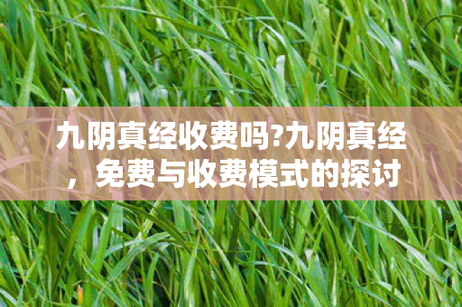 九阴真经收费吗?九阴真经,免费与收费模式的探讨 九阴真经收费吗?九阴真经,免费与收费模式的探讨