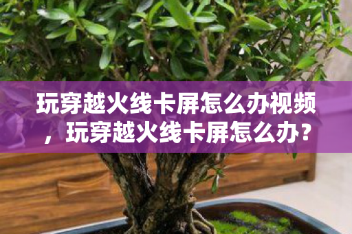 玩穿越火线卡屏怎么办视频,玩穿越火线卡屏怎么办? 玩穿越火线卡屏怎么办视频,玩穿越火线卡屏怎么办?