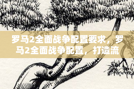 罗马2全面战争配置要求,罗马2全面战争配置,打造流畅游戏体验的硬件指南 罗马2全面战争配置要求,罗马2全面战争配置,打造流畅游戏体验的硬件指南