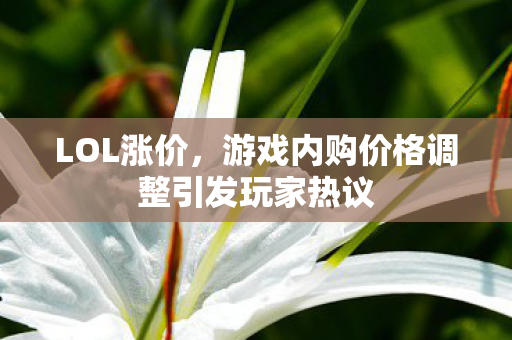 LOL涨价,游戏内购价格调整引发玩家热议 LOL涨价,游戏内购价格调整引发玩家热议