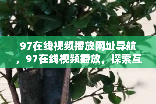 97在线视频播放网址导航,97在线视频播放,探索互联网时代的娱乐新纪元 97在线视频播放网址导航,97在线视频播放,探索互联网时代的娱乐新纪元