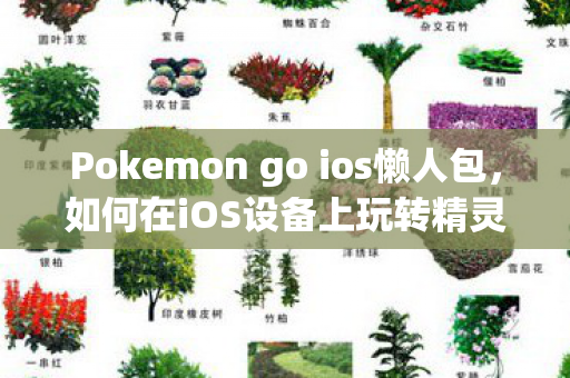 Pokemon go ios懒人包,如何在iOS设备上玩转精灵宝可梦GO Pokemon go ios懒人包,如何在iOS设备上玩转精灵宝可梦GO