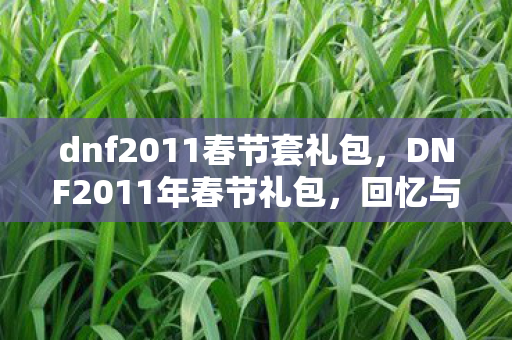 dnf2011春节套礼包,DNF2011年春节礼包,回忆与情怀的交织 dnf2011春节套礼包,DNF2011年春节礼包,回忆与情怀的交织