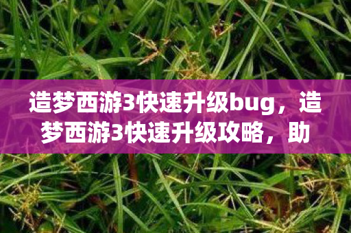 造梦西游3快速升级bug,造梦西游3快速升级攻略,助你飞速提升等级 造梦西游3快速升级bug,造梦西游3快速升级攻略,助你飞速提升等级