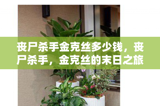 丧尸杀手金克丝多少钱,丧尸杀手,金克丝的末日之旅 丧尸杀手金克丝多少钱,丧尸杀手,金克丝的末日之旅