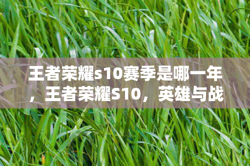 王者荣耀s10赛季是哪一年,王者荣耀S10,英雄与战术的革新 王者荣耀s10赛季是哪一年,王者荣耀S10,英雄与战术的革新