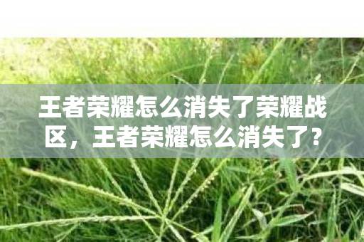 王者荣耀怎么消失了荣耀战区，王者荣耀怎么消失了？