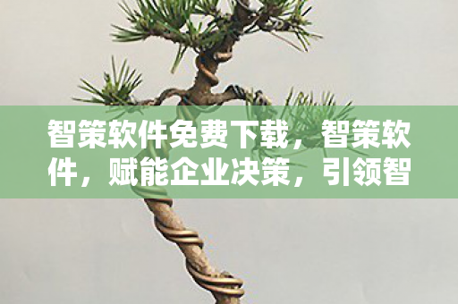 智策软件免费下载,智策软件,赋能企业决策,引领智能未来 智策软件免费下载,智策软件,赋能企业决策,引领智能未来