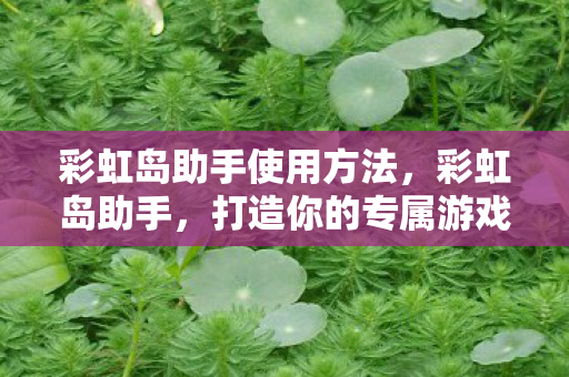 彩虹岛助手使用方法,彩虹岛助手,打造你的专属游戏助手 彩虹岛助手使用方法,彩虹岛助手,打造你的专属游戏助手
