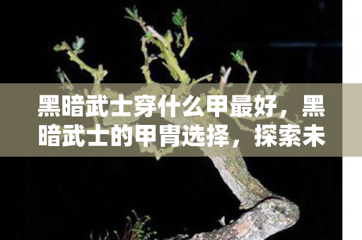 黑暗武士穿什么甲最好，黑暗武士的甲胄选择，探索未知领域的战斗美学