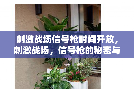 刺激战场信号枪时间开放,刺激战场,信号枪的秘密与魅力 刺激战场信号枪时间开放,刺激战场,信号枪的秘密与魅力