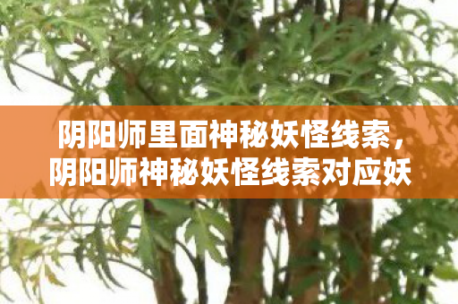 阴阳师里面神秘妖怪线索，阴阳师神秘妖怪线索对应妖怪关卡大全