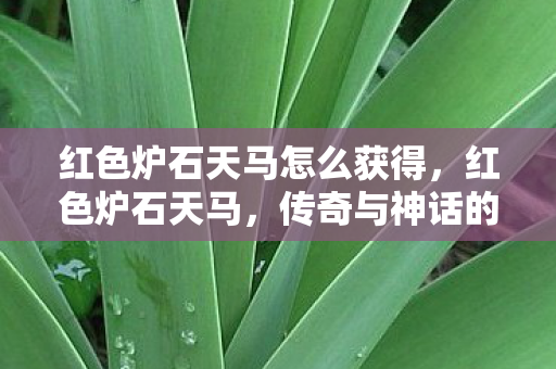 红色炉石天马怎么获得,红色炉石天马,传奇与神话的交织 红色炉石天马怎么获得,红色炉石天马,传奇与神话的交织