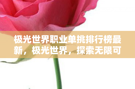 极光世界职业单挑排行榜最新,极光世界,探索无限可能的职业选择 极光世界职业单挑排行榜最新,极光世界,探索无限可能的职业选择
