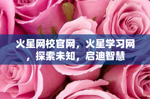 火星网校官网,火星学习网,探索未知,启迪智慧 火星网校官网,火星学习网,探索未知,启迪智慧