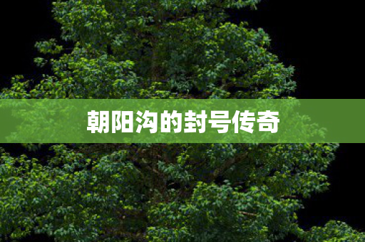 朝阳沟的封号传奇 朝阳沟的封号传奇