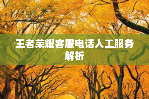 王者荣耀客服电话人工服务解析 王者荣耀客服电话人工服务解析