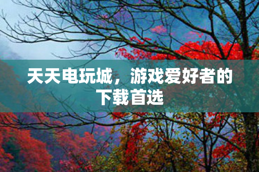 天天电玩城,游戏爱好者的下载首选 天天电玩城,游戏爱好者的下载首选
