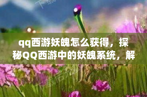 qq西游妖魄怎么获得，探秘QQ西游中的妖魄系统，解锁神秘力量的钥匙