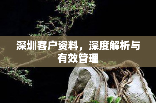 深圳客户资料,深度解析与有效管理 深圳客户资料,深度解析与有效管理