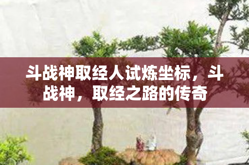斗战神取经人试炼坐标,斗战神,取经之路的传奇 斗战神取经人试炼坐标,斗战神,取经之路的传奇