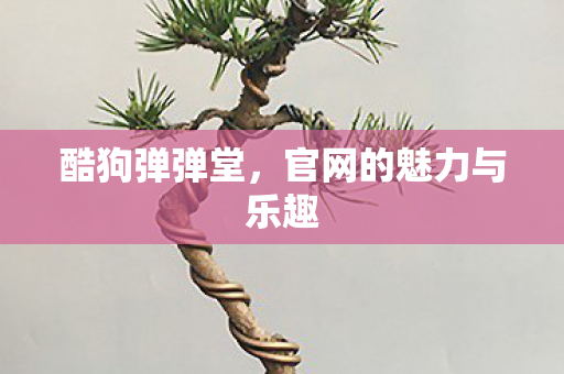 酷狗弹弹堂，官网的魅力与乐趣