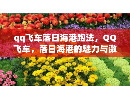 qq飞车落日海港跑法,QQ飞车,落日海港的魅力与激情 qq飞车落日海港跑法,QQ飞车,落日海港的魅力与激情