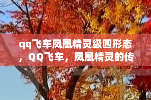 qq飞车凤凰精灵级四形态,QQ飞车,凤凰精灵的传奇之旅 qq飞车凤凰精灵级四形态,QQ飞车,凤凰精灵的传奇之旅