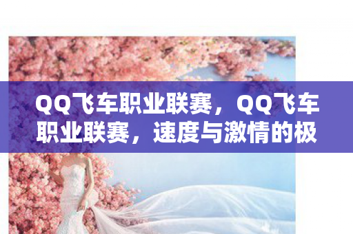 QQ飞车职业联赛，QQ飞车职业联赛，速度与激情的极致展现