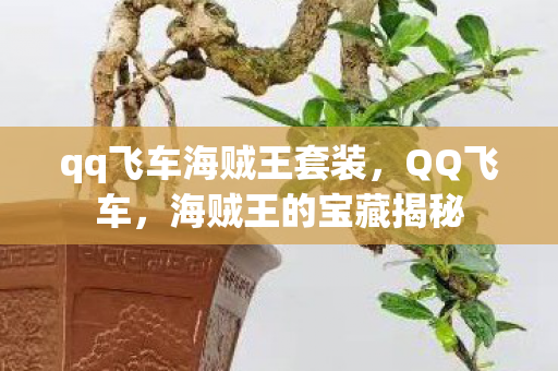 qq飞车海贼王套装,QQ飞车,海贼王的宝藏揭秘 qq飞车海贼王套装,QQ飞车,海贼王的宝藏揭秘