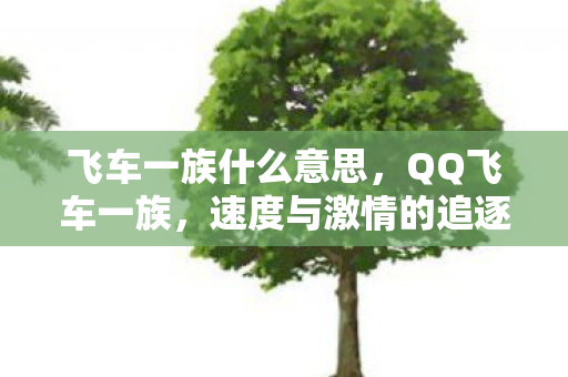 飞车一族什么意思,QQ飞车一族,速度与激情的追逐者 飞车一族什么意思,QQ飞车一族,速度与激情的追逐者
