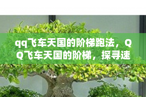 qq飞车天国的阶梯跑法,QQ飞车天国的阶梯,探寻速度与激情的极致境界 qq飞车天国的阶梯跑法,QQ飞车天国的阶梯,探寻速度与激情的极致境界