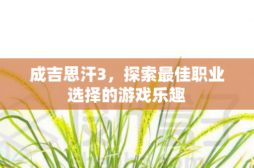 成吉思汗3,探索最佳职业选择的游戏乐趣 成吉思汗3,探索最佳职业选择的游戏乐趣