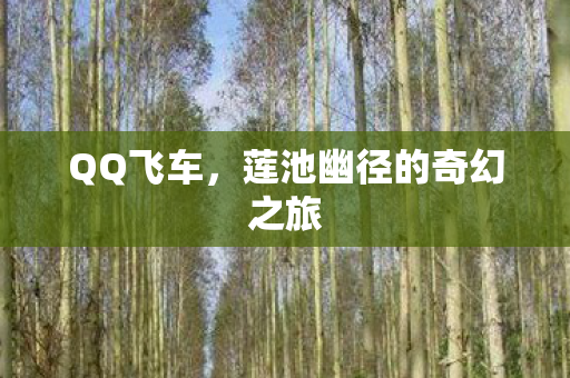QQ飞车,莲池幽径的奇幻之旅 QQ飞车,莲池幽径的奇幻之旅