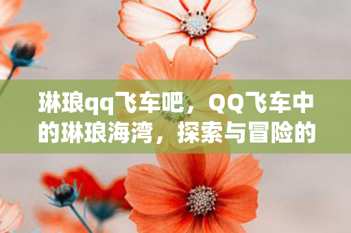 琳琅qq飞车吧,QQ飞车中的琳琅海湾,探索与冒险的乐园 琳琅qq飞车吧,QQ飞车中的琳琅海湾,探索与冒险的乐园