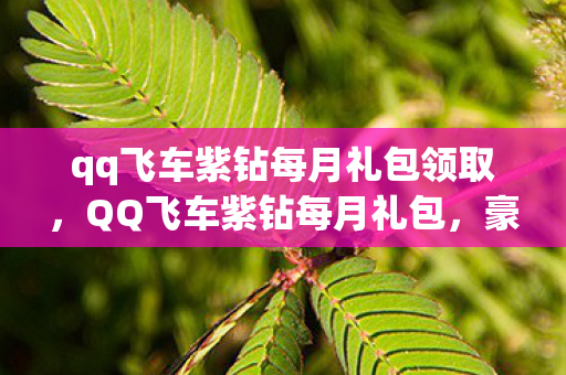 qq飞车紫钻每月礼包领取,QQ飞车紫钻每月礼包,豪华大放送! qq飞车紫钻每月礼包领取,QQ飞车紫钻每月礼包,豪华大放送!