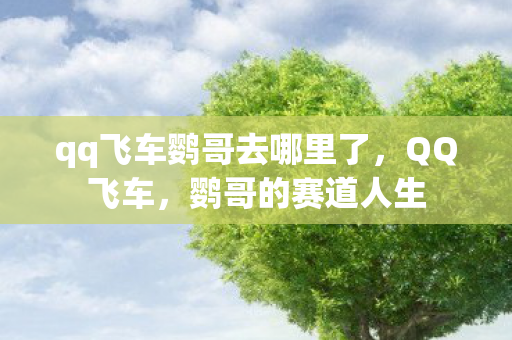 qq飞车鹦哥去哪里了,QQ飞车,鹦哥的赛道人生 qq飞车鹦哥去哪里了,QQ飞车,鹦哥的赛道人生
