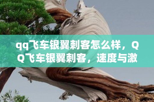 qq飞车银翼刺客怎么样,QQ飞车银翼刺客,速度与激情的完美融合 qq飞车银翼刺客怎么样,QQ飞车银翼刺客,速度与激情的完美融合