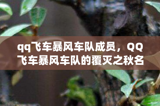 qq飞车暴风车队成员,QQ飞车暴风车队的覆灭之秋名山传奇 qq飞车暴风车队成员,QQ飞车暴风车队的覆灭之秋名山传奇