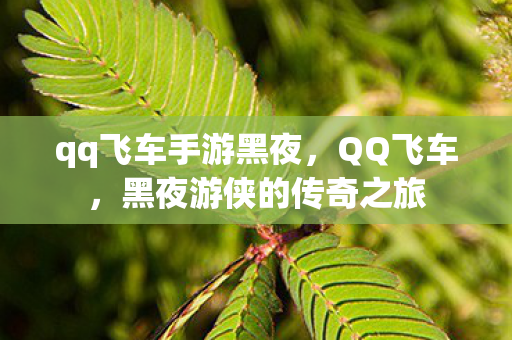 qq飞车手游黑夜,QQ飞车,黑夜游侠的传奇之旅 qq飞车手游黑夜,QQ飞车,黑夜游侠的传奇之旅