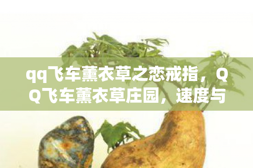 qq飞车薰衣草之恋戒指,QQ飞车薰衣草庄园,速度与浪漫的极致碰撞 qq飞车薰衣草之恋戒指,QQ飞车薰衣草庄园,速度与浪漫的极致碰撞